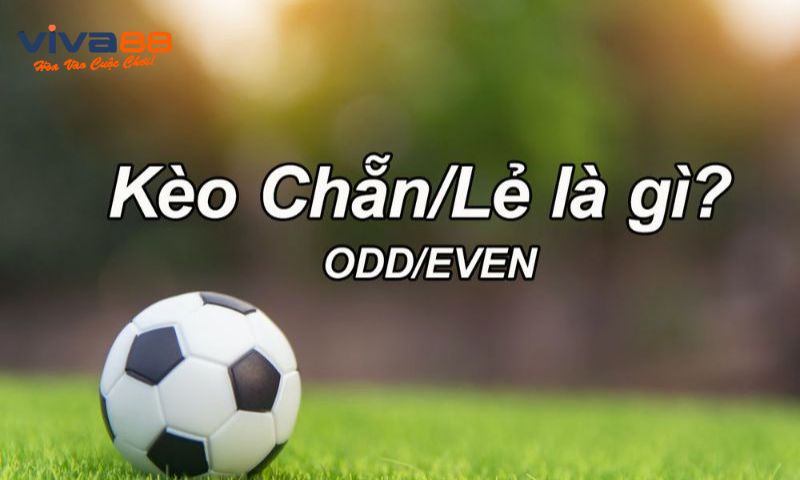 Bí Quyết Chơi Kèo Chẵn Lẻ Đánh Bại Nhà Cái – Viva88.fun