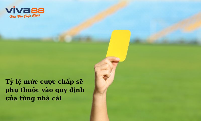 Cược kèo thẻ vàng chấp 