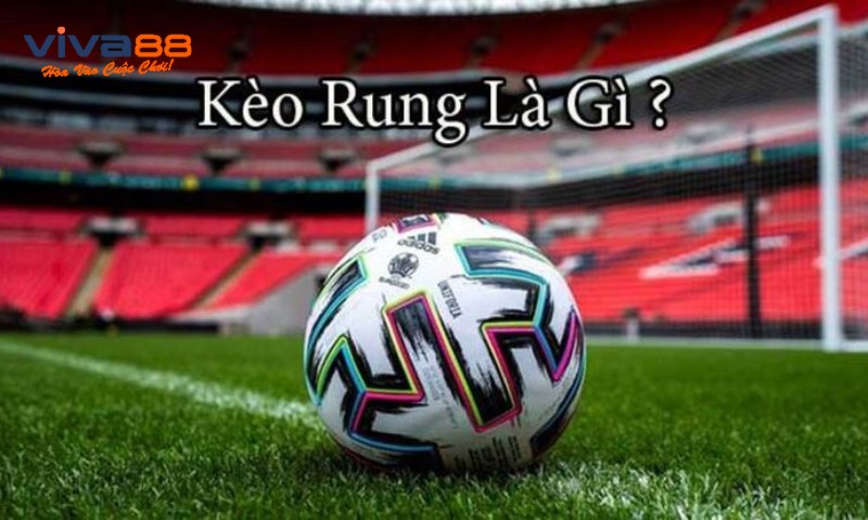 Kèo Rung Là Gì? Kinh Nghiệm Bắt Kèo Hay Tới Từ Các Cao Thủ