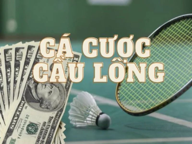 cá cược cầu lông