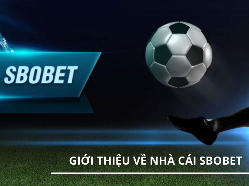 Giới thiệu về Sbobet